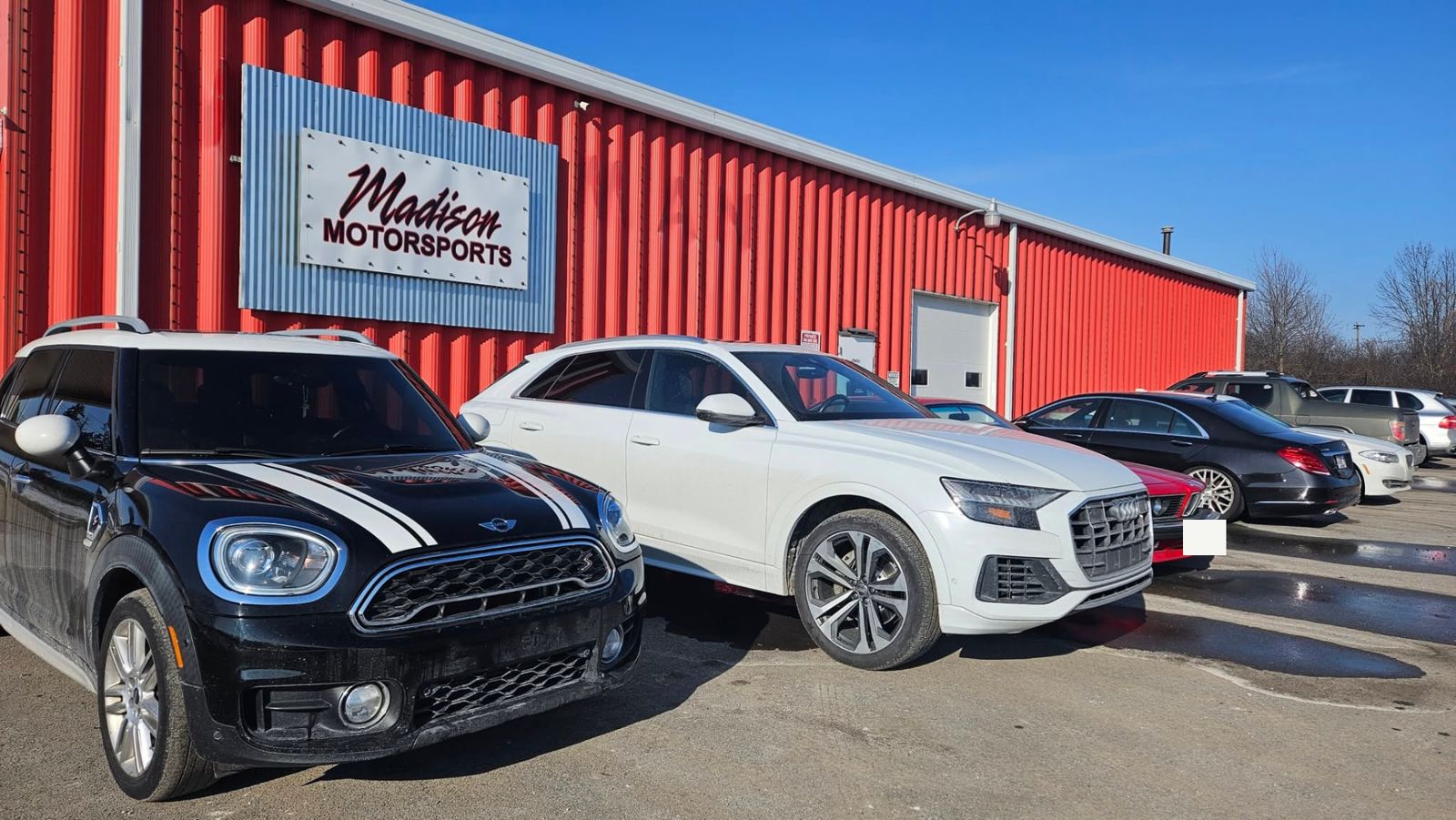 MINI Countryman and Audi Q8 at Madison Motorsports